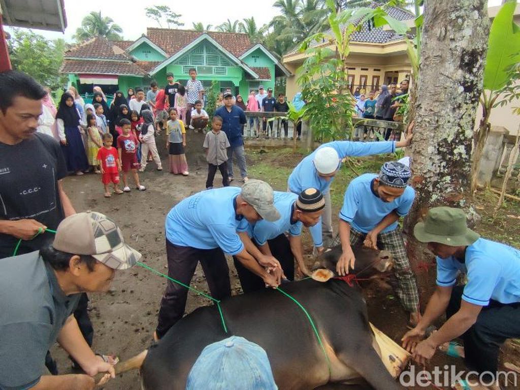 DKPP Bandung Turunkan Satgas Post Mortem Pantau Penyembelihan Kurban